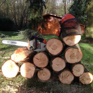 Preparation du bois de chauffage - LBO SERVICES